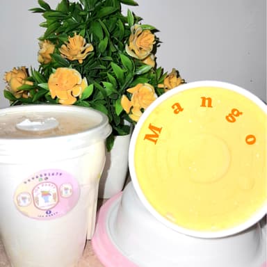 Helado Gourmet Mango