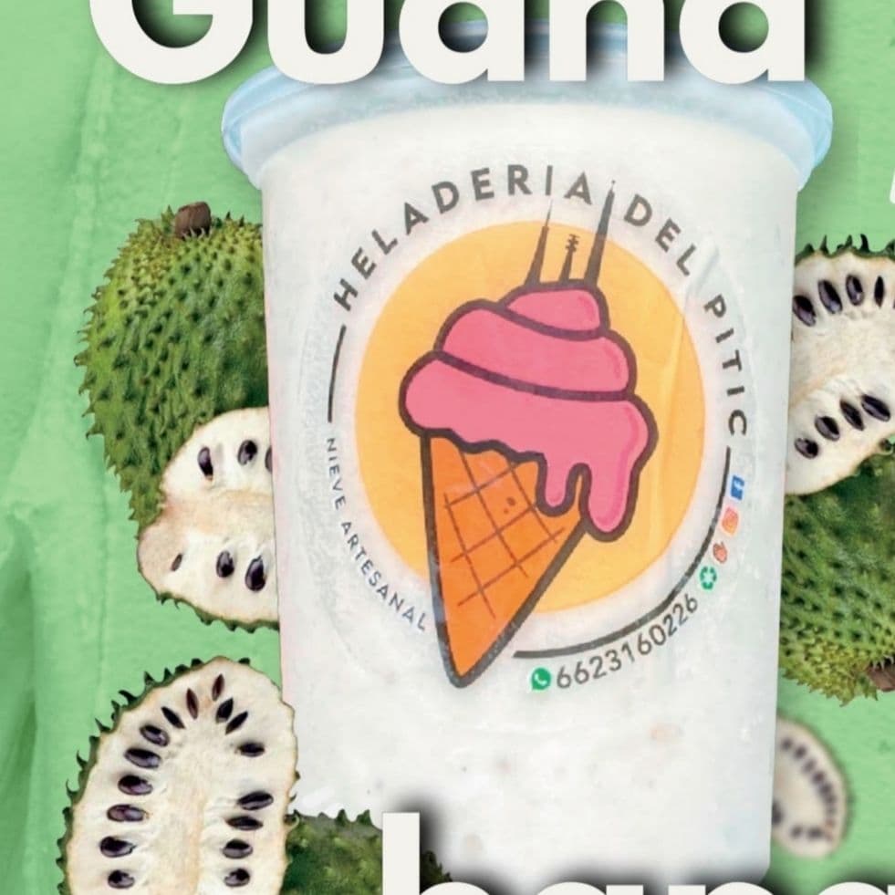 Nieve de Guanabana 1/2 Lt *