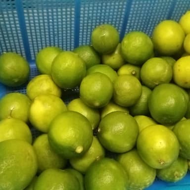 Limón extra 1 Pieza