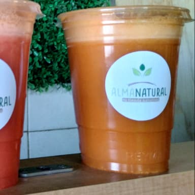 Jugo Natural de Zanahoria con Naranja 500 Ml