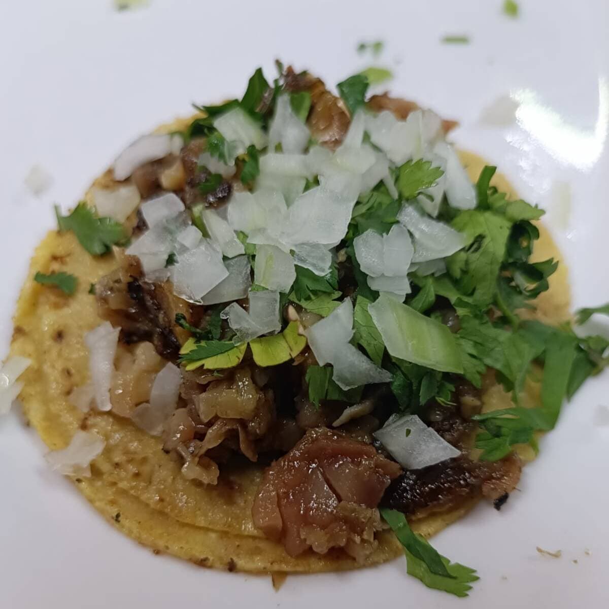 Quesadilla con Labio