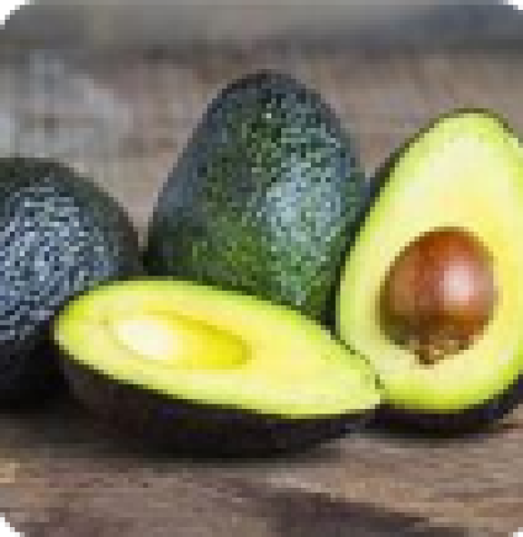 Aguacate