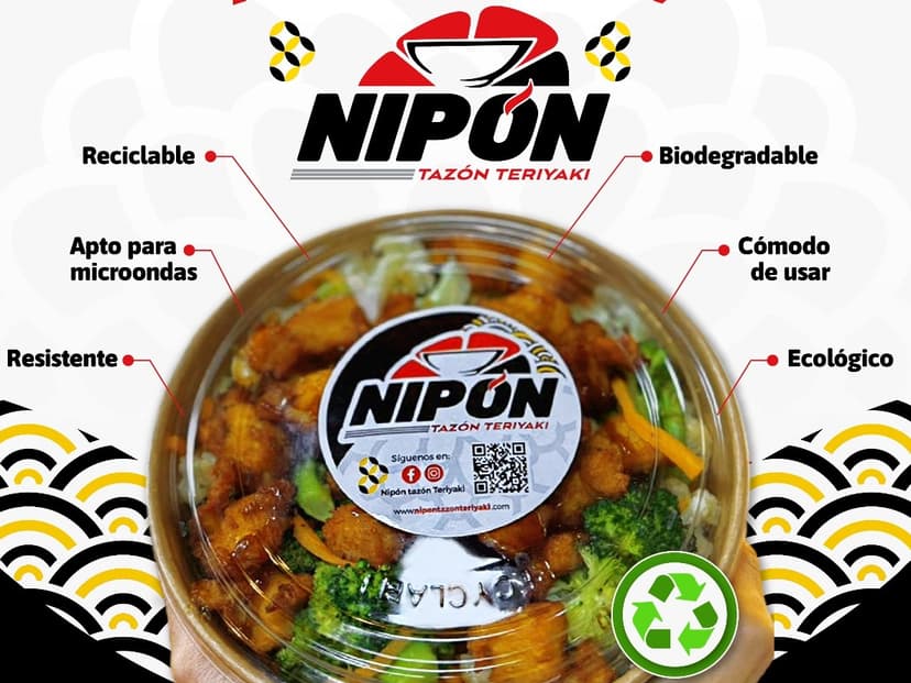 Nipon Tazón Teriyaki