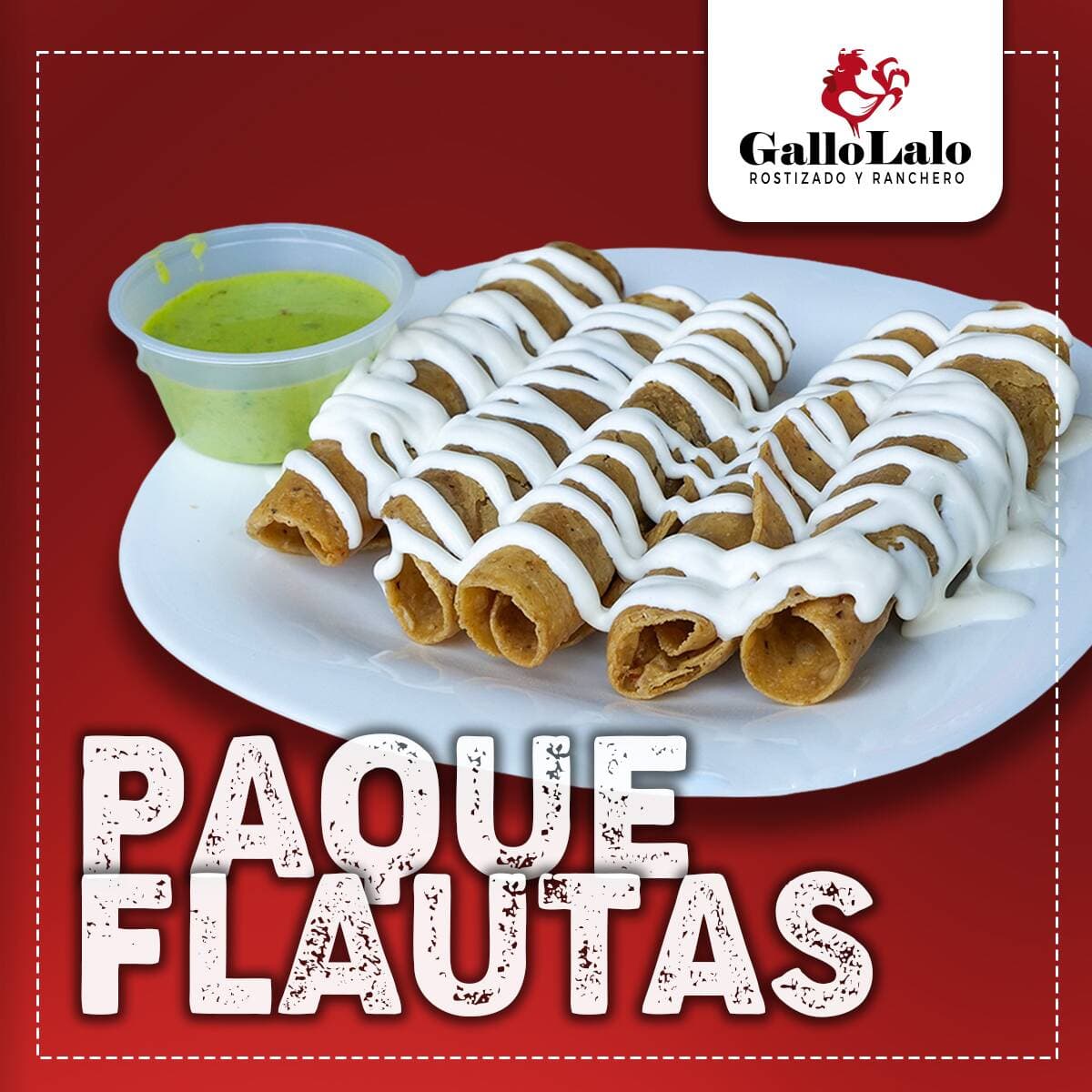Paquete 6