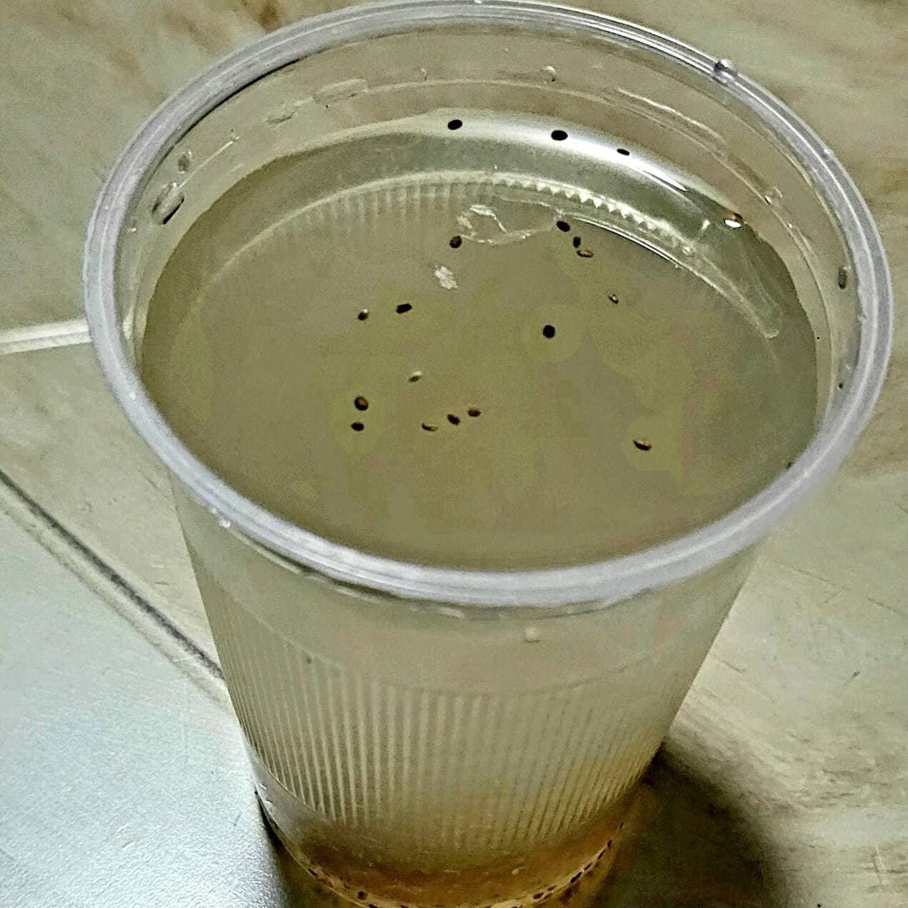 Limón Chia