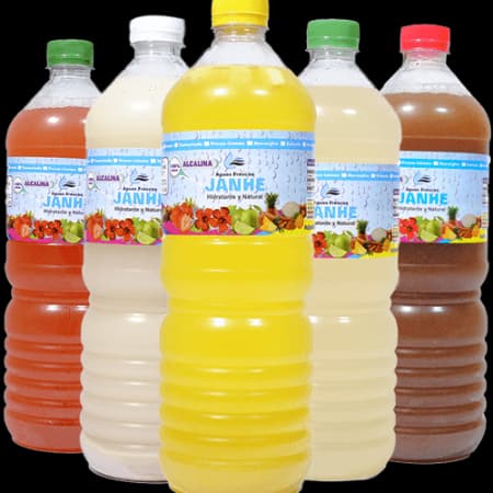 Agua de Sabor 1L