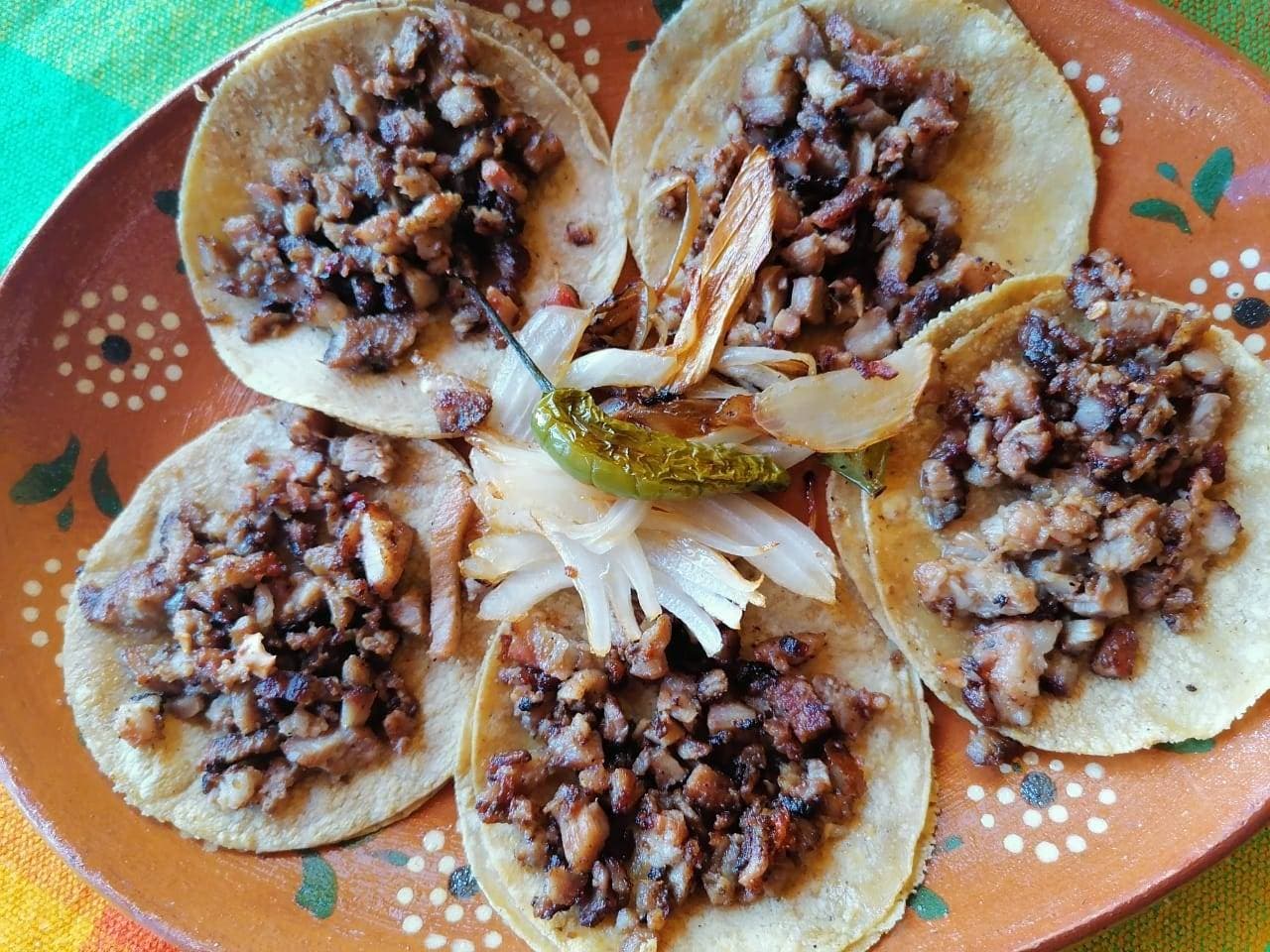 Tacos  Tocineta