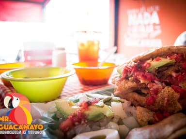 Guacamaya Especial