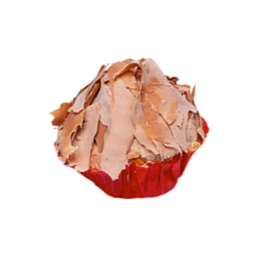 Bola de Nieve