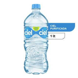 AGUA NATURAL DE 1 LT.