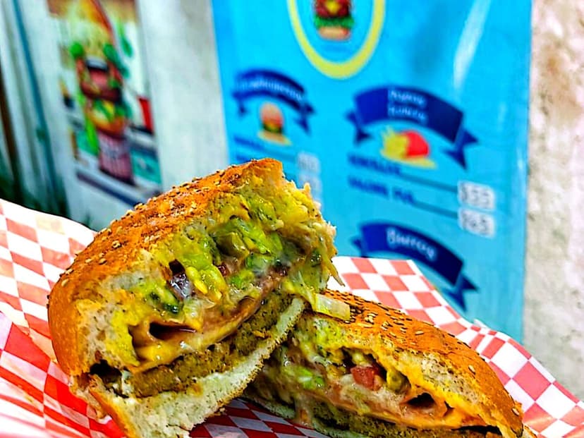 Cactáceas burguer