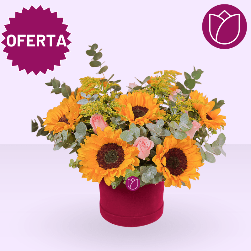 Caja de girasoles Celebración
