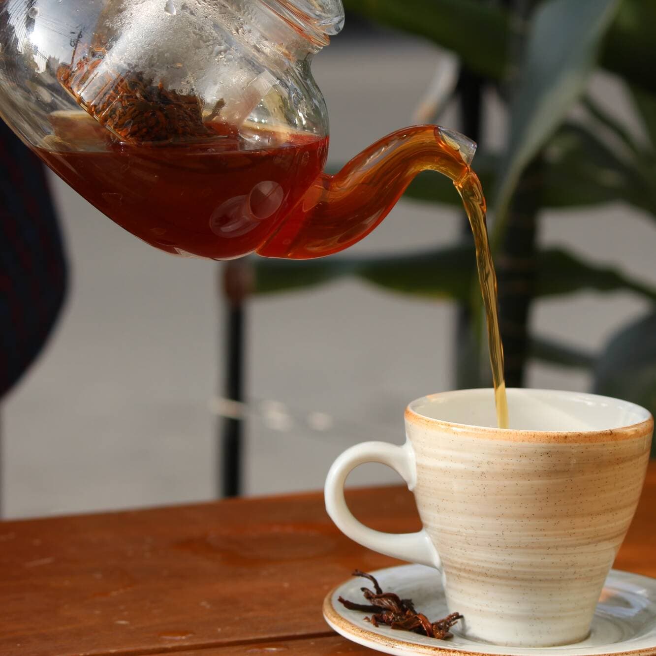 Infusiones Especiales 8 oz