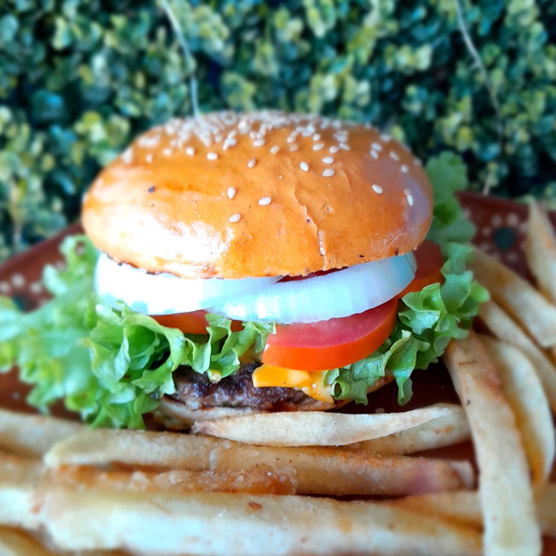 Hamburguesa Sencilla de Res + Papas Fritas