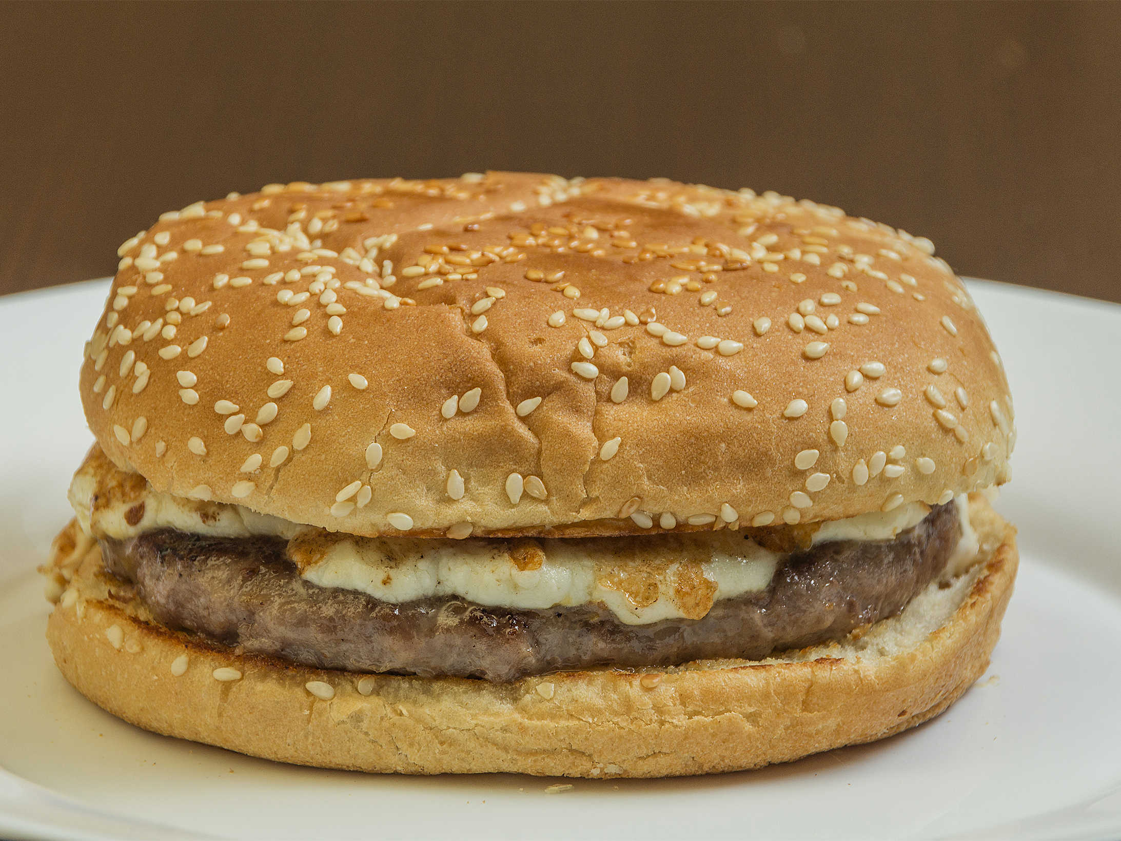 Hamburguesa de Arrachera