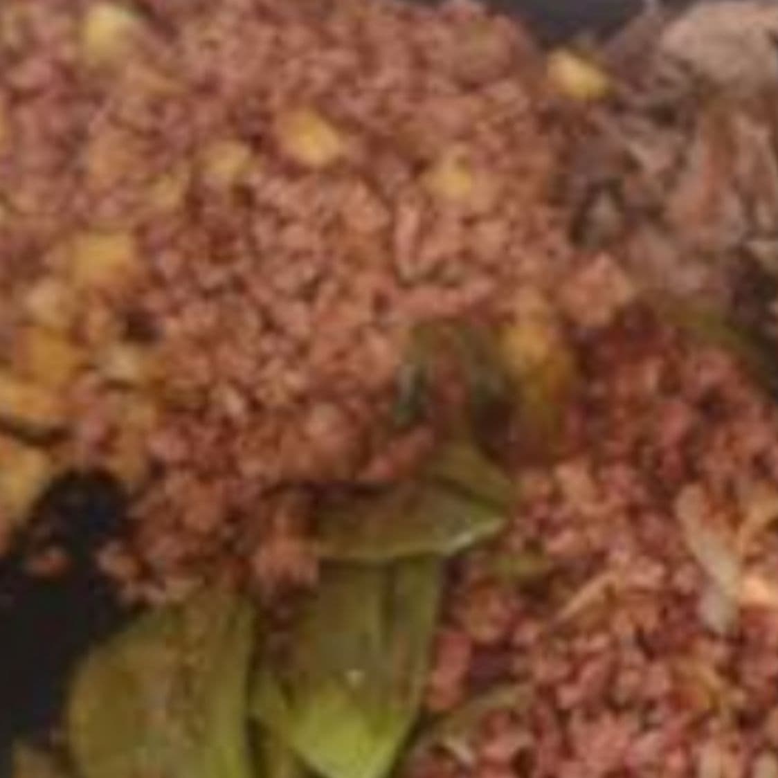 Bomba Campachana con Papas