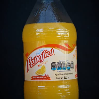 Peñafiel Naranjada 355 ml NR