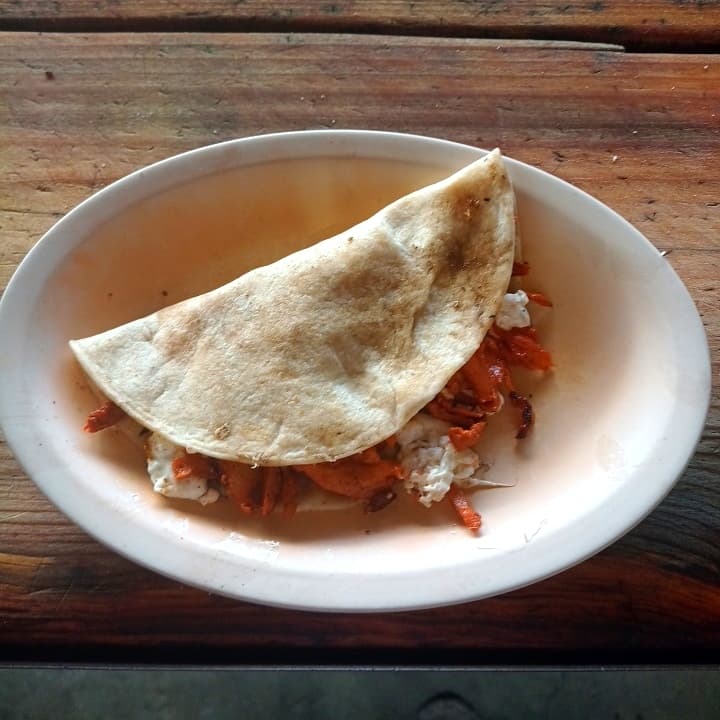Gringa al pastor