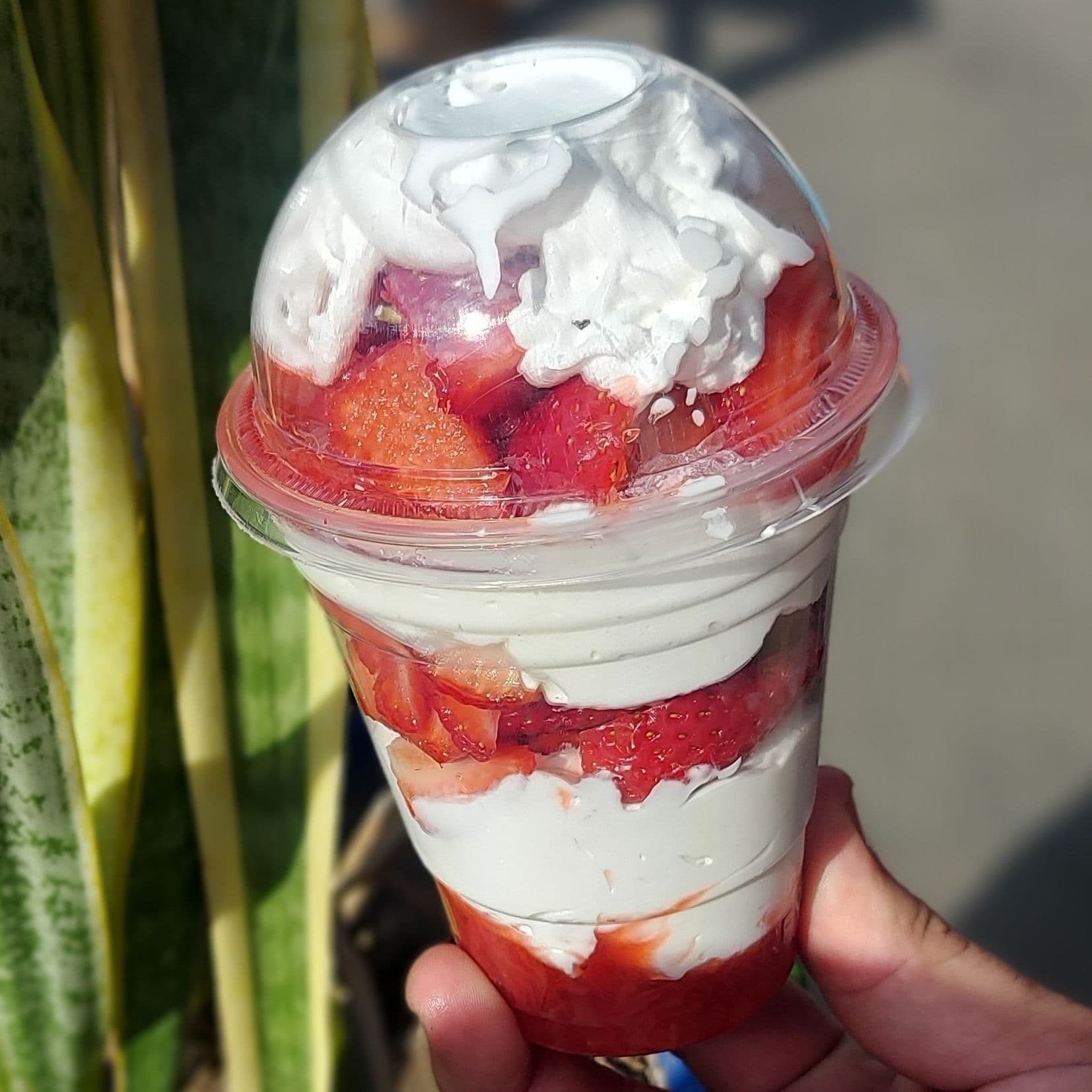 Fresas con crema.