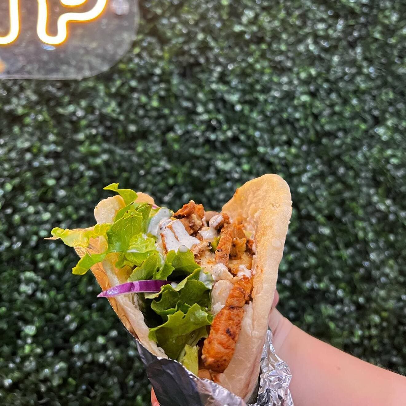 Kebab Mixto de Pollo y Cerdo