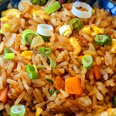 Yakimeshi Vegetariano