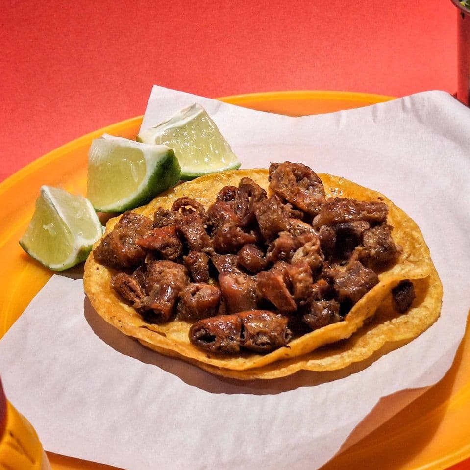 Taco de tripa