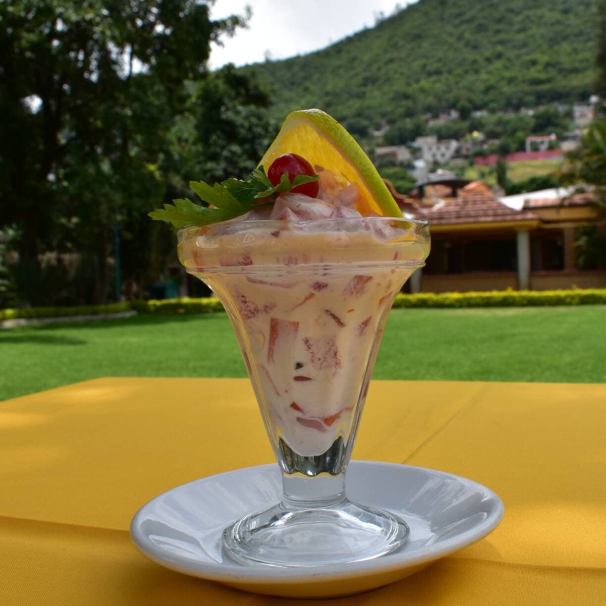 Coctel de Frutas con Yogurt