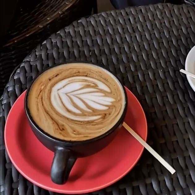 capucchino tradicional 12 OZ