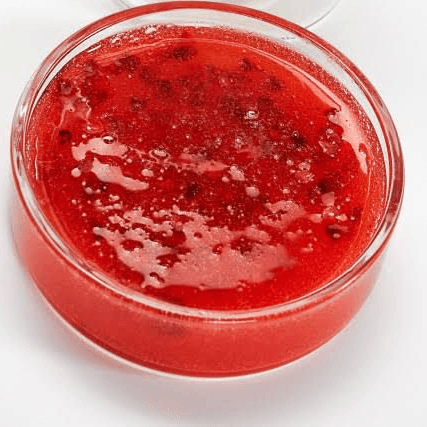 salsa zarzamora