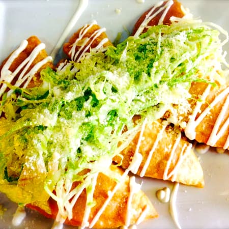 Empanada de Pollo