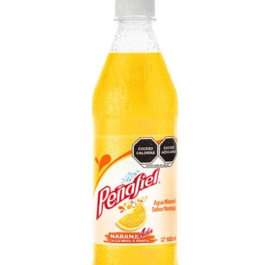 Naranjada 500 ml
