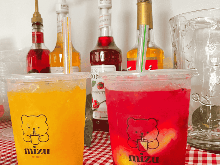 Mizu house