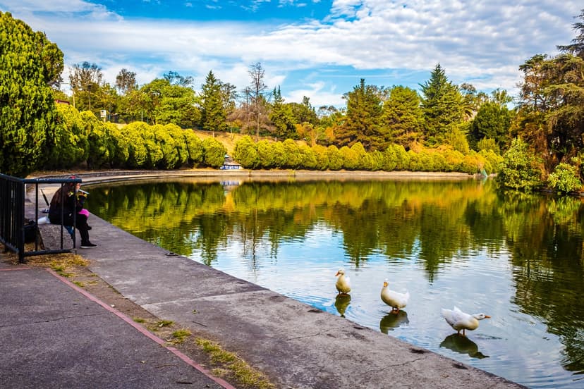 Mujer disfrutando la vista del lago de Chapultepec