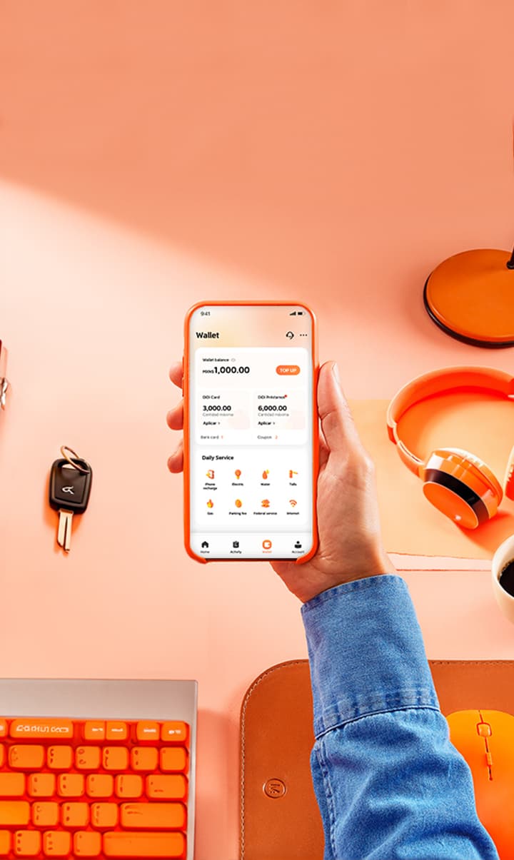 Servicios Financieros DiDi México