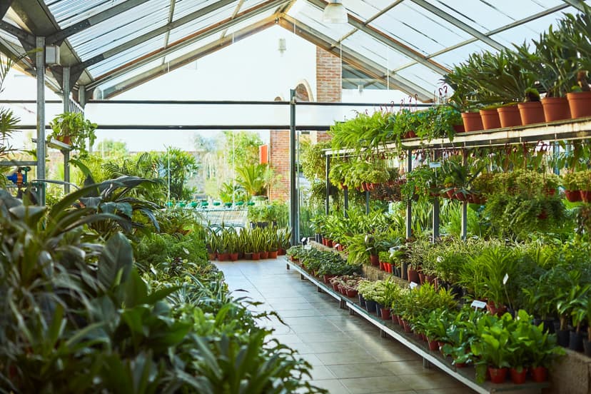 Viveros de plantas en la CDMX