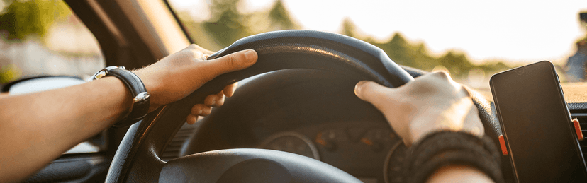 Trámites Vehiculares