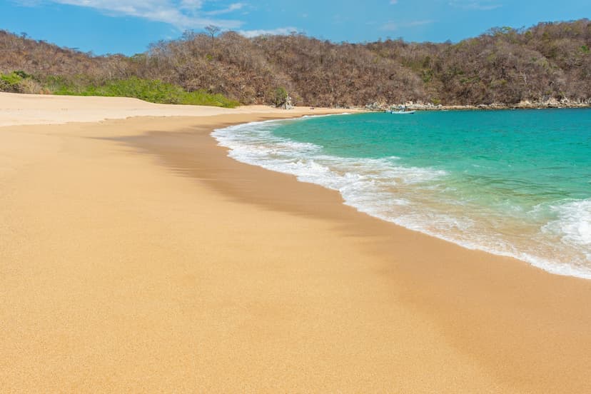 Playa El organo