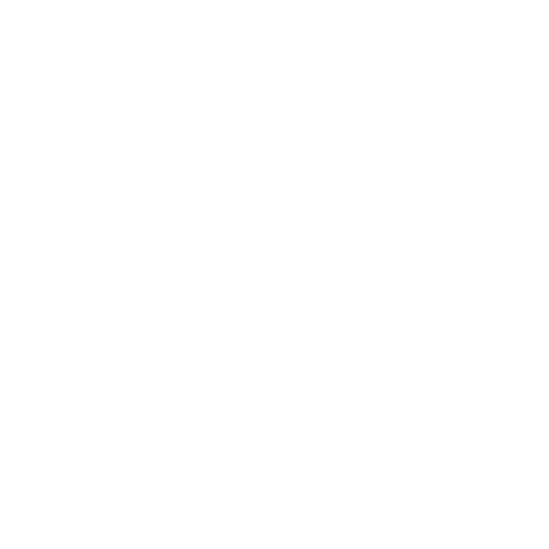 Pasajero Safety Logo