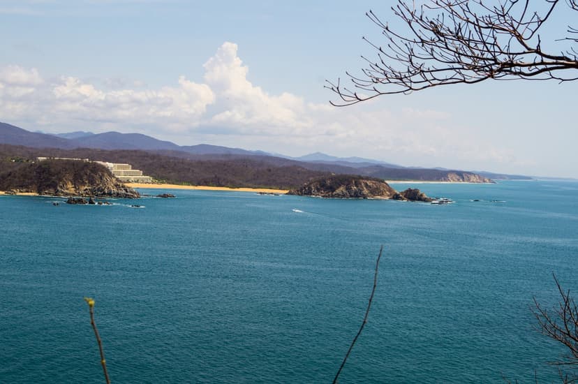 Bahia Conejos