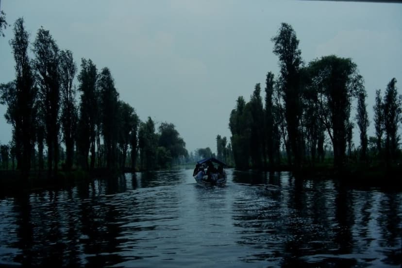 Conoce Xochimilco en Día de Muertos