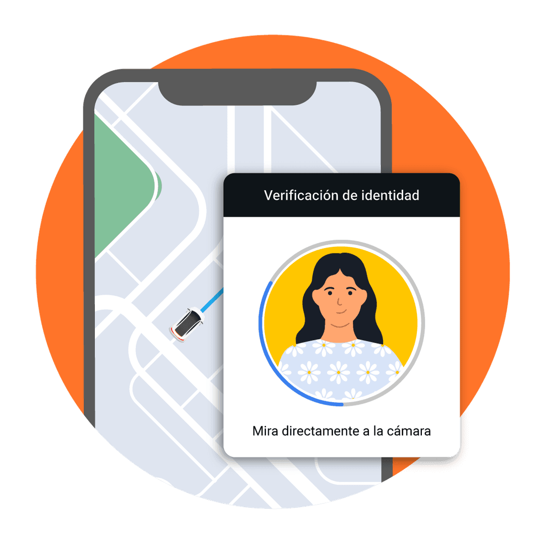Verificación del Pasajero
