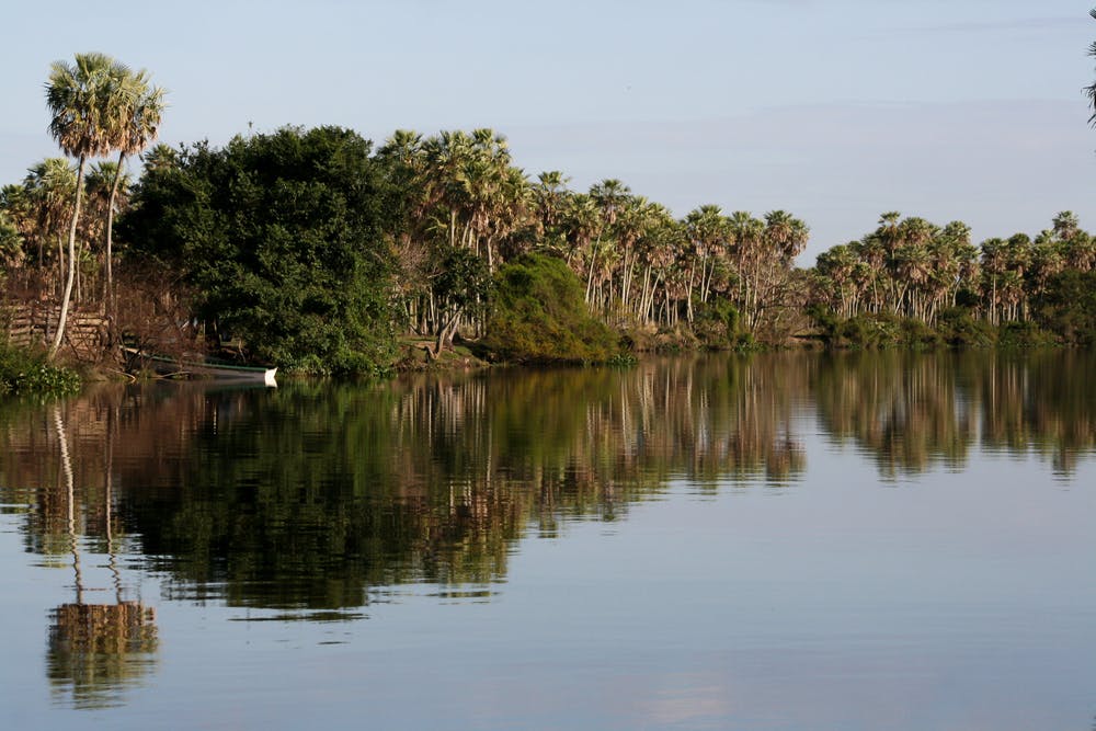 Parque Nacional Laguna del Palmar