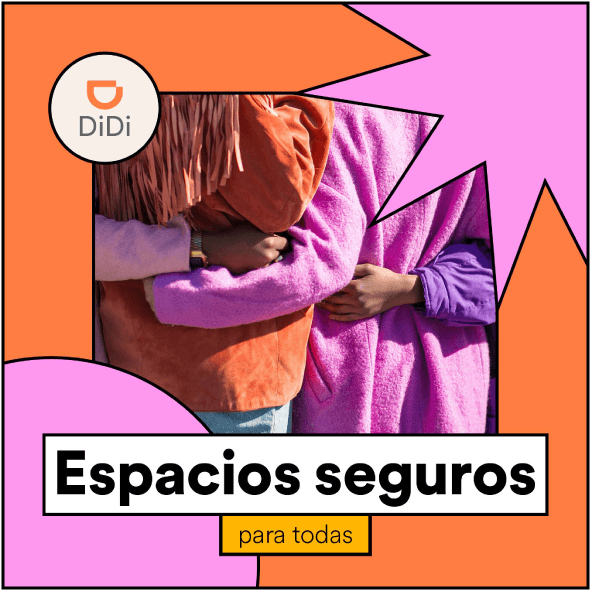 Seguridad Icono
