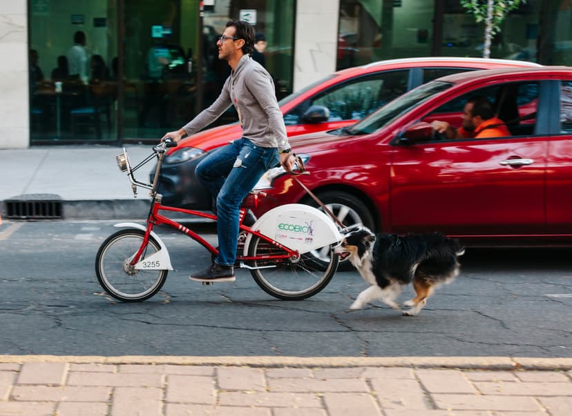 Persona paseando en bici junto a su mascota en calles de la Colonia Condesa