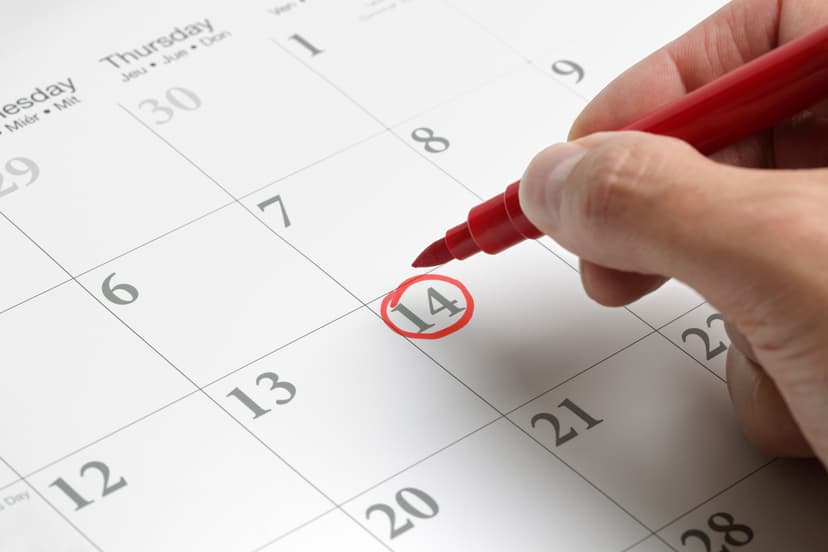 fechas para los hologramas