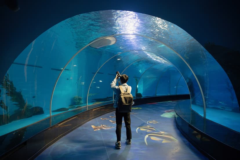 Persona en un acuario