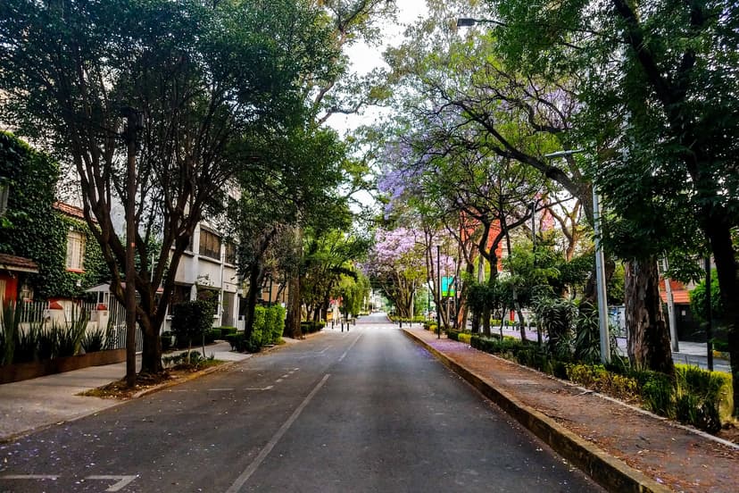La Condesa, refugio de artistas, brilla con su ambiente relajado y multicultural.